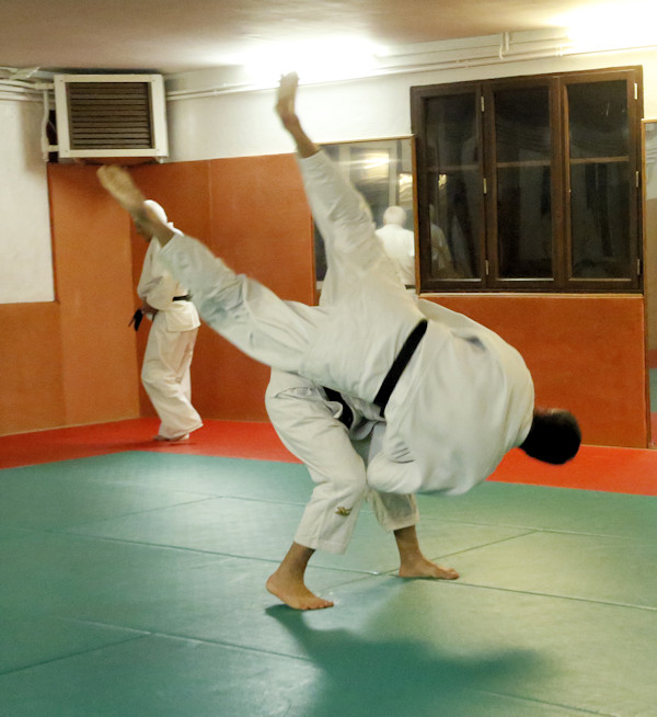dojo